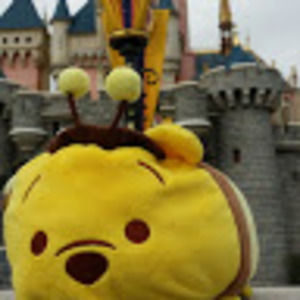 Meet your Posher, Tung